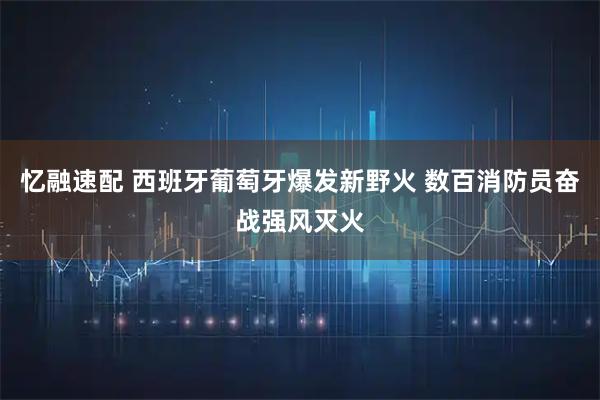 忆融速配 西班牙葡萄牙爆发新野火 数百消防员奋战强风灭火