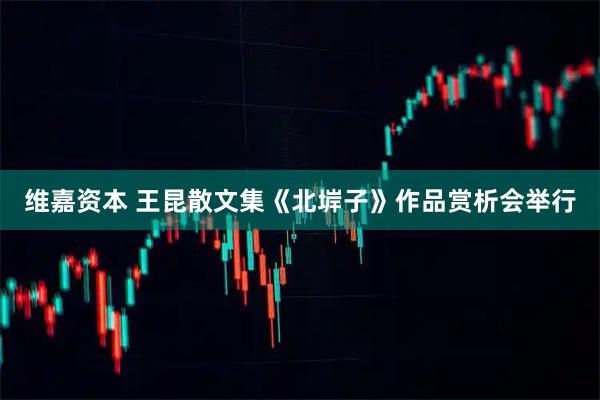 维嘉资本 王昆散文集《北堓子》作品赏析会举行