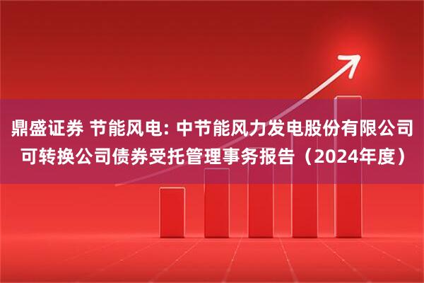 鼎盛证券 节能风电: 中节能风力发电股份有限公司可转换公司债券受托管理事务报告（2024年度）
