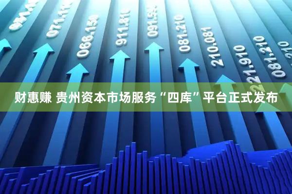 财惠赚 贵州资本市场服务“四库”平台正式发布