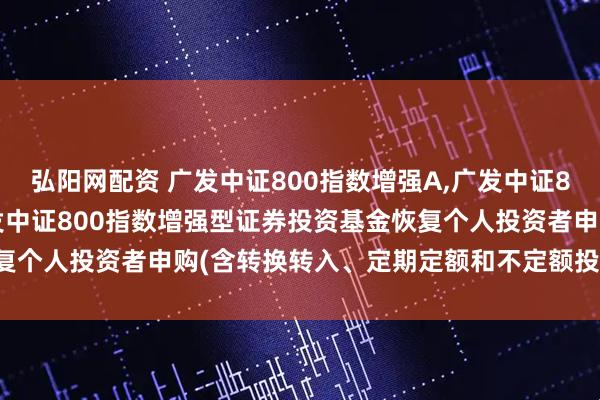 弘阳网配资 广发中证800指数增强A,广发中证800指数增强C: 关于广发中证800指数增强型证券投资基金恢复个人投资者申购(含转换转入、定期定额和不定额投资)业务的公告