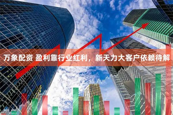 万象配资 盈利靠行业红利，新天力大客户依赖待解